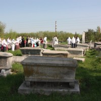 Фото из Кладбище «Тураевское кладбище»