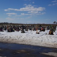 Фото из компании «Ново-Сормовское кладбище»