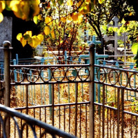 Фото из Кладбище «Краснооктябрьское новое кладбище»
